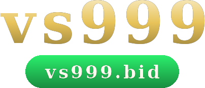 vs999 logo